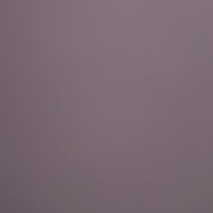 Meet your Posher, Muriel